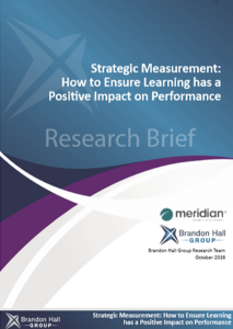 Strategic Measurement-BHG Thumbnail